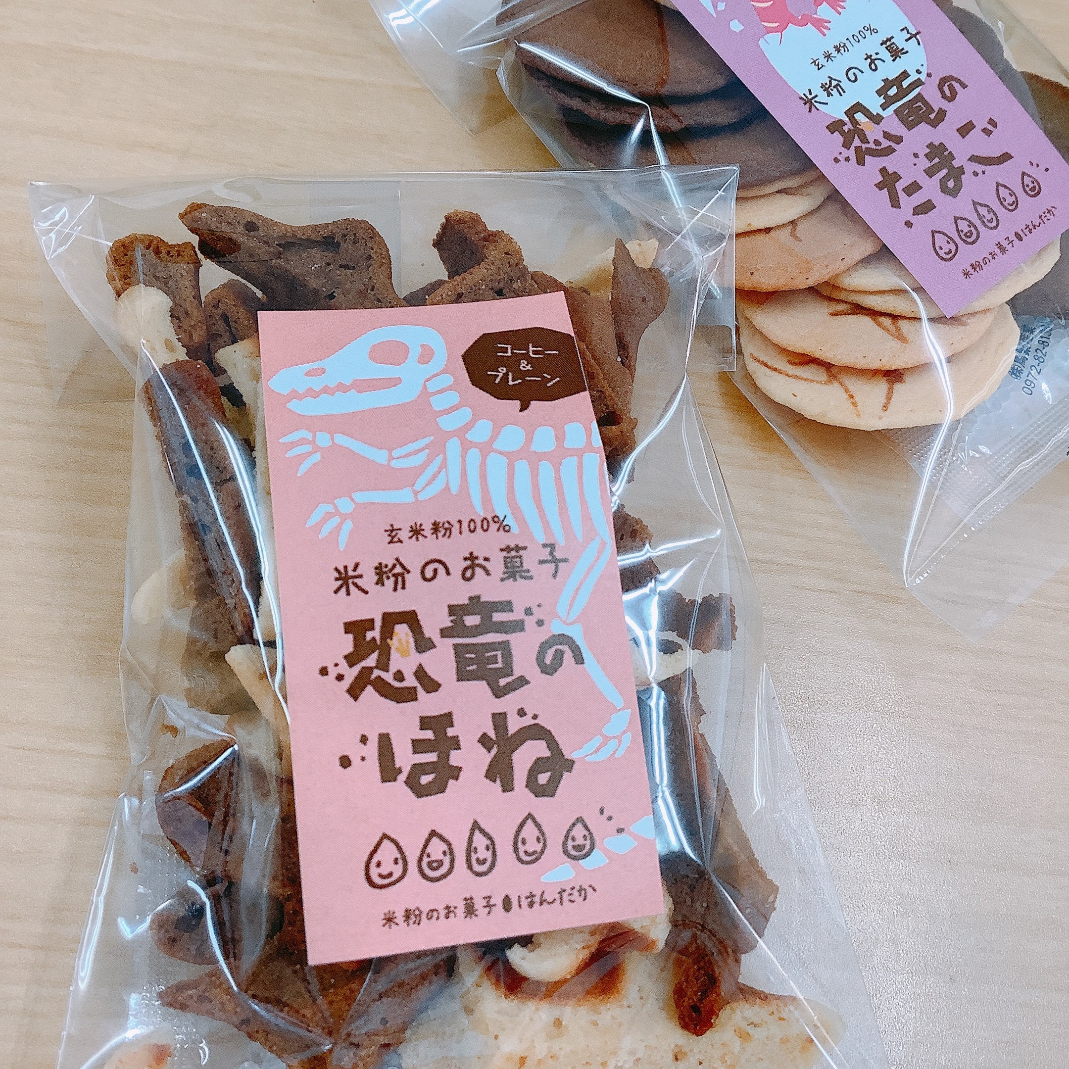 恐竜のほね